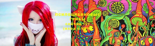герыч Алексин