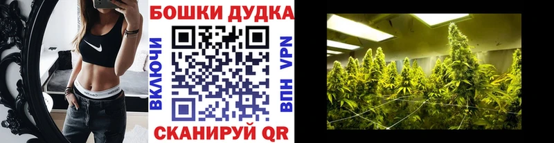 нарко площадка официальный сайт  Амурск  Бошки марихуана SATIVA & INDICA 